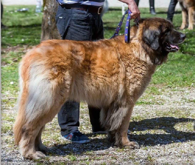 Bianca Du Nant De Sally